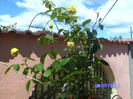 BILD5913