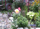 BILD5931