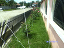 BILD5952