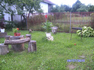 BILD6004