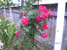 BILD6019