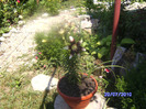 BILD6131