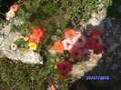 BILD6134