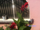 BILD6135