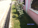 BILD6155