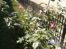 BILD6158