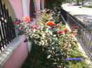 BILD6160