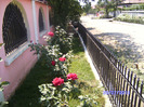 BILD6161