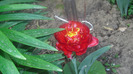 CIMG0440