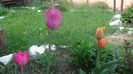 CIMG0446
