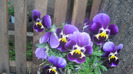 CIMG0457