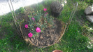 CIMG0469