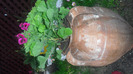 CIMG0659