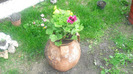CIMG0661