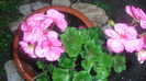 CIMG0665
