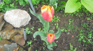 CIMG0676