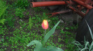 CIMG0677