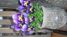 CIMG0681