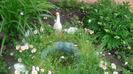 CIMG0684