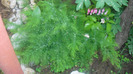 CIMG0692