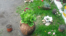 CIMG0710