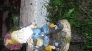 CIMG0715