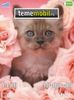 Sweet-Kitty--14294