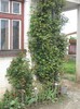 DSCN5166