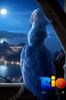 images (53)