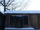 pooozediverse 002 (1)