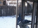 pooozediverse 006 (2)