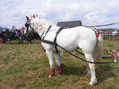 DSCF4618