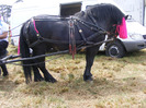 DSCF4623
