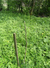 7-8 mai 2011 035