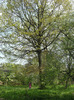 7-8 mai 2011 055