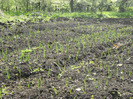 7-8 mai 2011 057