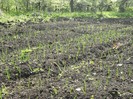 7-8 mai 2011 057