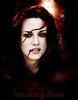 Breaking-Dawn-poster-twilight-serie