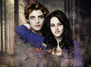 Edward-and-Bella-Breaking-Dawn-twilight-series-7350208-1024-768-1