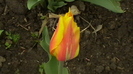 IMGA0396