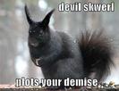 funny-pictures-evil-black-squirrel