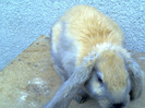 Picture 040