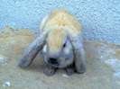 Picture 041