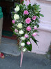 P5010517