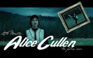 A-Cullen-Wallpapers-3-alice-cullen-9268188-1280-800[1]