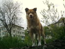IMAG0082