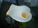 P5060047