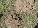 IMG_0231