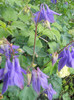 DSCN1132