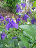 DSCN1133